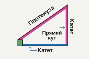Що таке катет? Формули, приклади та пояснення