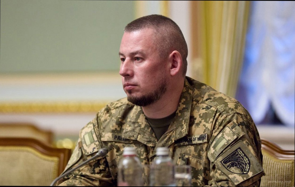 Паліса: вік мобілізації переглянуть за однієї умови