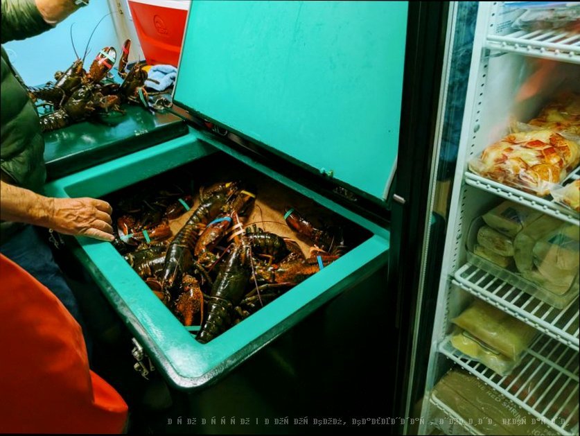 Як зберегти продукти в спеку: холодильник і не тільки