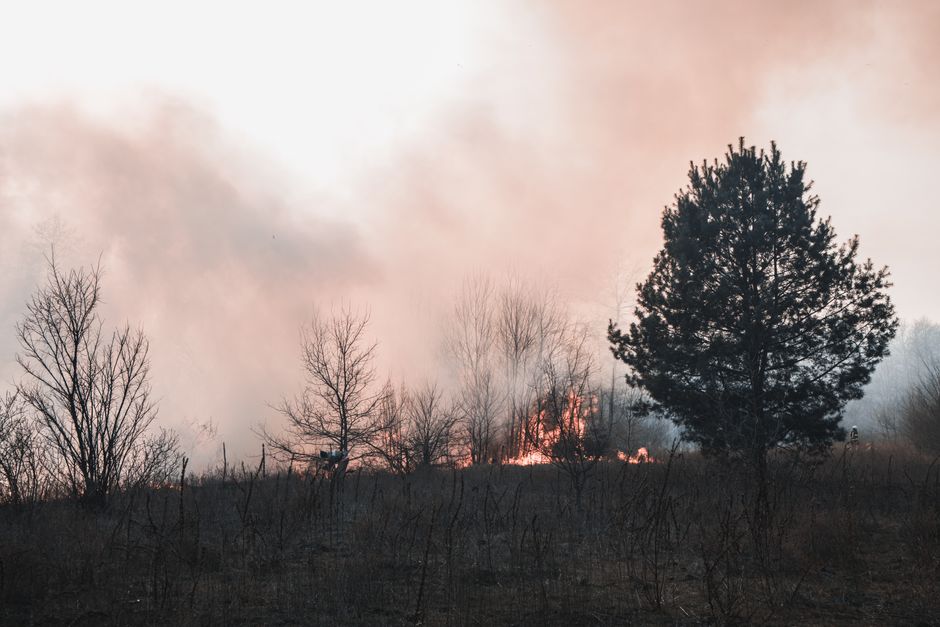 Погода на Миколаївщині 20 серпня: спека до +32°С