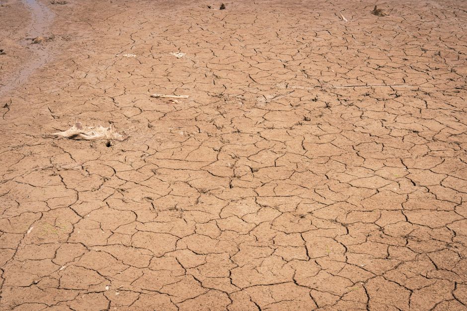 Маловоддя в Україні побило рекорди: вже діють обмеження води