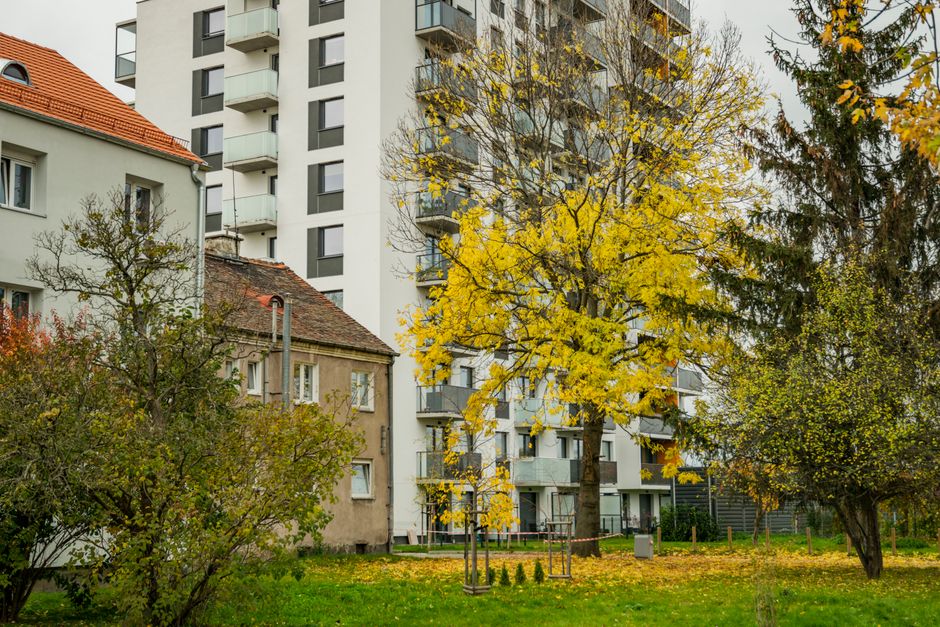 Як утеплити квартиру восени: бюджетні способи